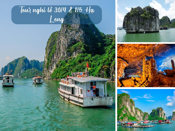 Tour nghỉ lễ 30/4 &1/5 ở Hạ Long