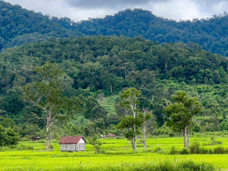 Tour Thám Hiểm Trekking Tại Quy Nhơn