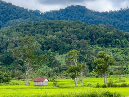 Tour Thám Hiểm Trekking Tại Quy Nhơn